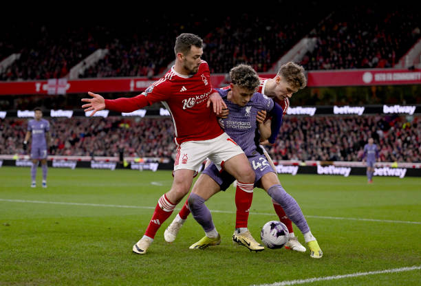 伯知名的足 伯知名的足